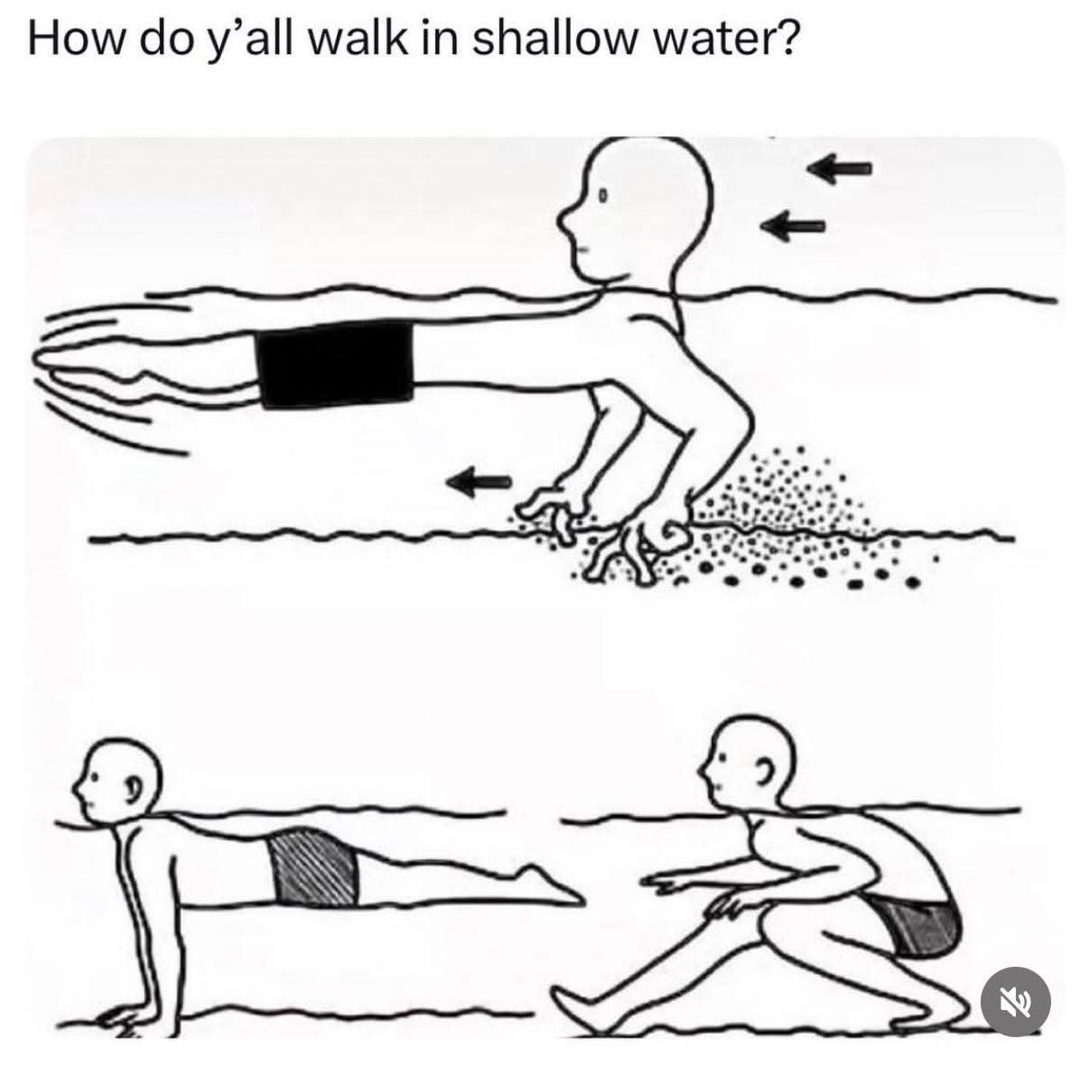Good morning! Please answer the question ⁉️