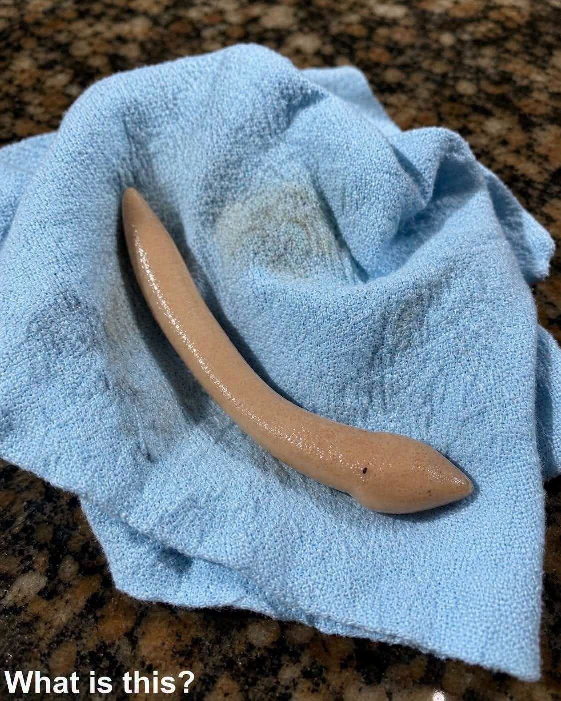 Good morning @[100023394293756:2048:Bahama Drama] I need your help identifying something. Can someone please tell me what kinda snake is this with these small eyes? I chopped it up